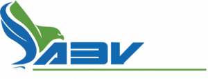 A3V Logo